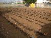 Taranto terreno  agricolo in via Caledonie - Lama - Divisione Casa Immobiliare di Roberto Cossu